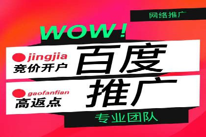 成功案例分享：SEM推广策略的制定与执行